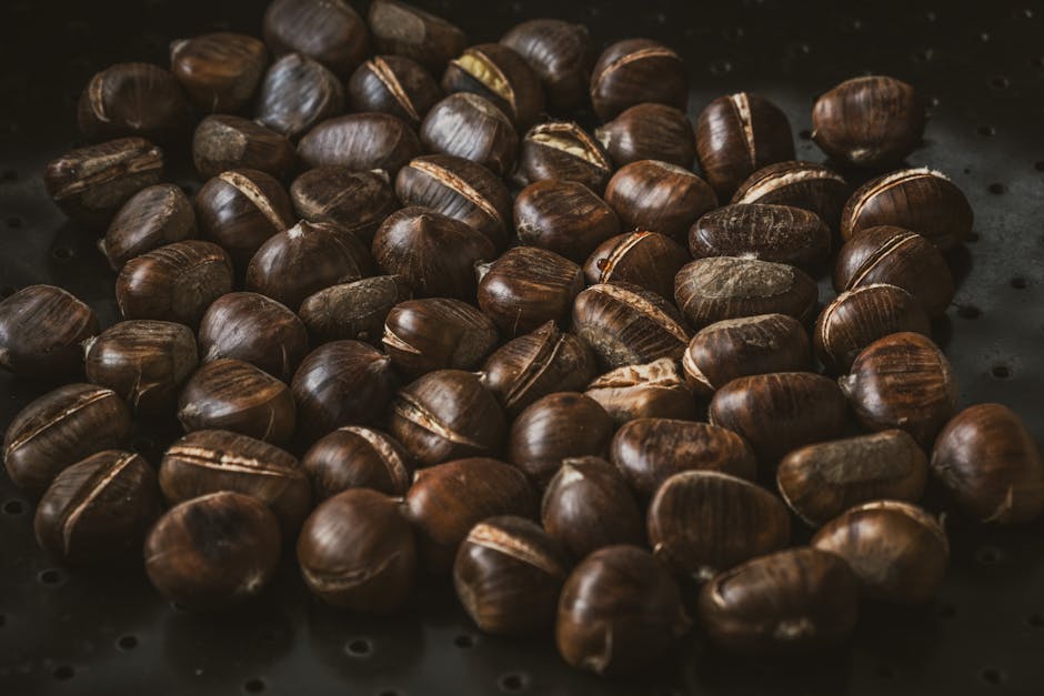 Fresh chestnuts piled up, perfect for winter roasting and seasonal meals
